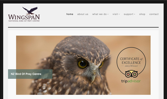 Wingspan Rotorua responsive web design