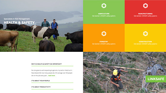Linksafe photography and responsive web design Tauranga