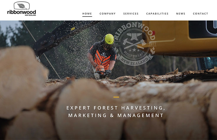 Ribbonwood NZ Website Design and Photography